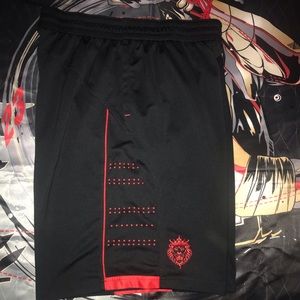 Vintage Lebron James Nike Shorts (Rare Lion logo!)